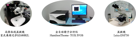 美迪西生殖毒属性服务实验仪器 美迪西生殖毒属性服务实验仪器