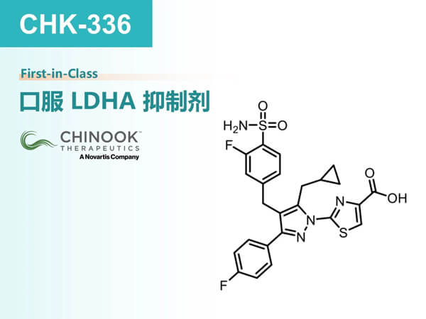 图5-CHK-336.jpg 图5-CHK-336.jpg