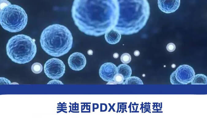 美迪西PDX模型.jpg 美迪西PDX模型.jpg