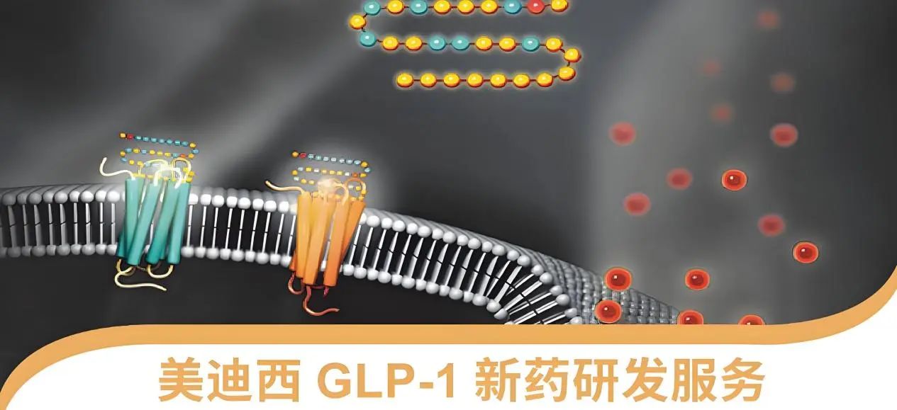 70.5%的成人正在悄悄长胖！国家卫健委“减肥令”下，GLP-1药物如何突围？